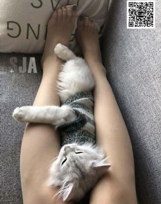 国产毛豆3_高清动漫免费观看